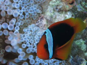 IMG_4343