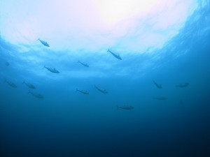 IMG_4400