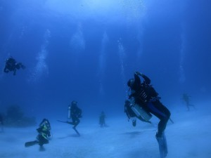 IMG_4407