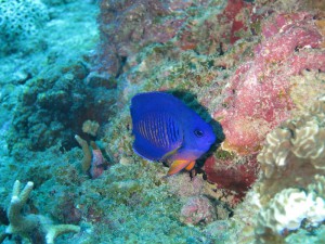 IMG_4438