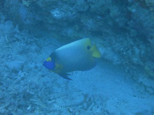 IMG_4528