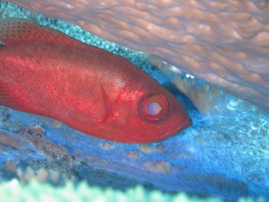 IMG_4557