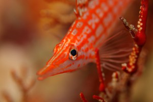 IMG_4579