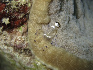 IMG_4740