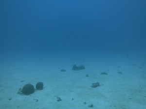 IMG_4741