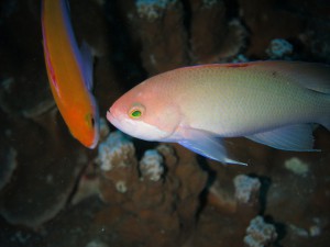 IMG_4753
