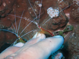 IMG_4766