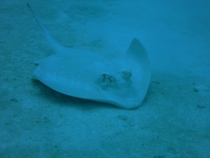 IMG_4776