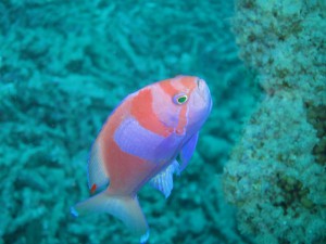 IMG_4806