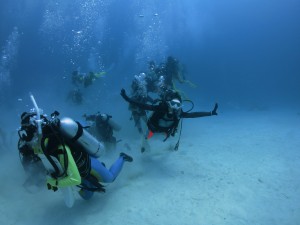 IMG_4855