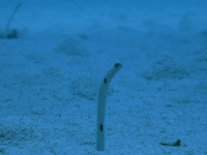 IMG_4942