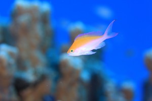 IMG_6005