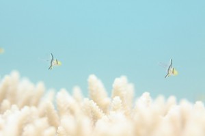 IMG_6748