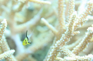 IMG_7646