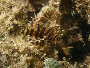 IMG_8199