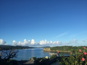 IMG_8659
