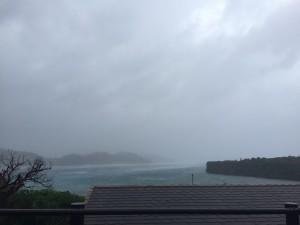 IMG_8702