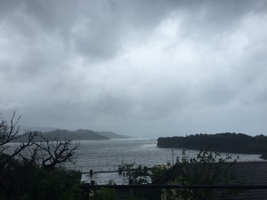 IMG_8703