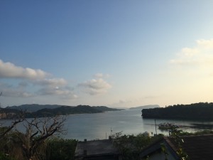 IMG_8716