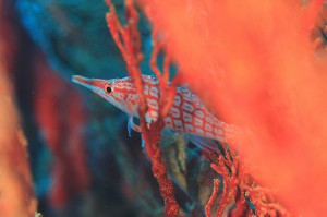 IMG_9349