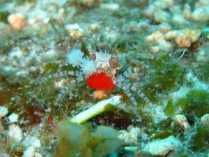 s-IMG_1504