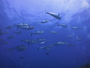 IMG_2393