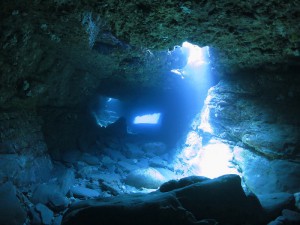IMG_3715 - コピー