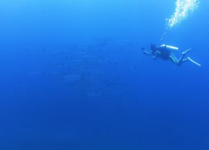 IMG_37651