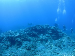 IMG_4064