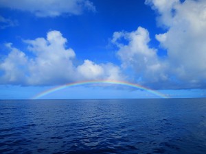 IMG_4126