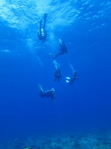 IMG_4137
