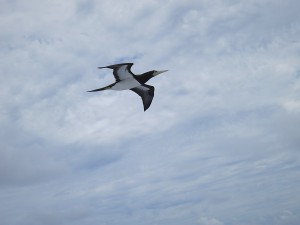 IMG_4159