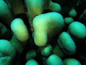 IMG_4193