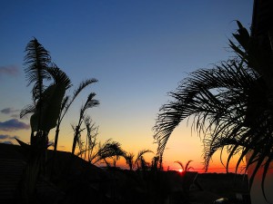 IMG_4241