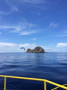 IMG_4401
