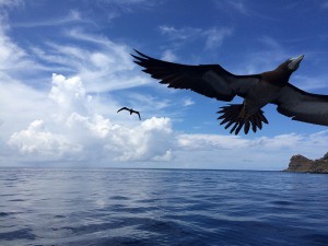 IMG_4416
