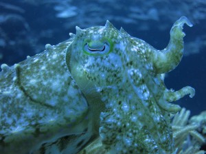 IMG_5177