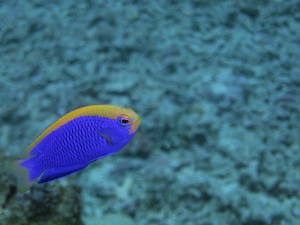 IMG_5208
