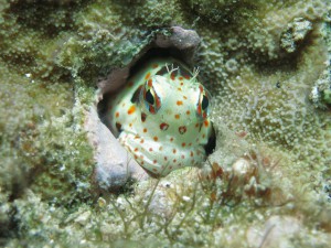 IMG_5306