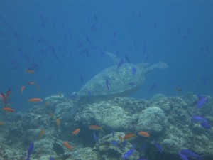 IMG_5315