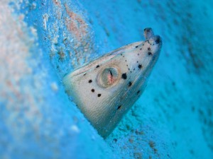 IMG_5339