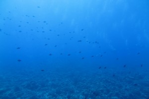 IMG_9658