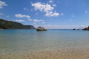 IMG_9745