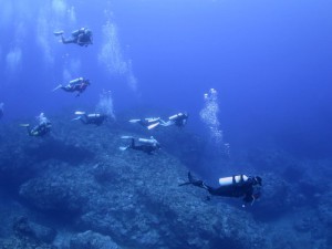 s-IMG_1396