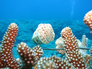 s-IMG_3772