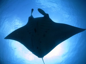 s-IMG_3786