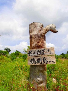 s-P9151082