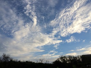 sIMG_4002