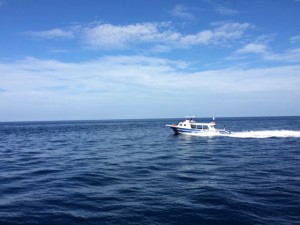 sIMG_4004