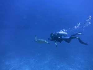 sIMG_5351